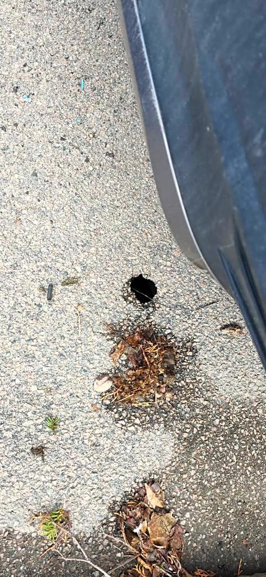 Image submitted with report