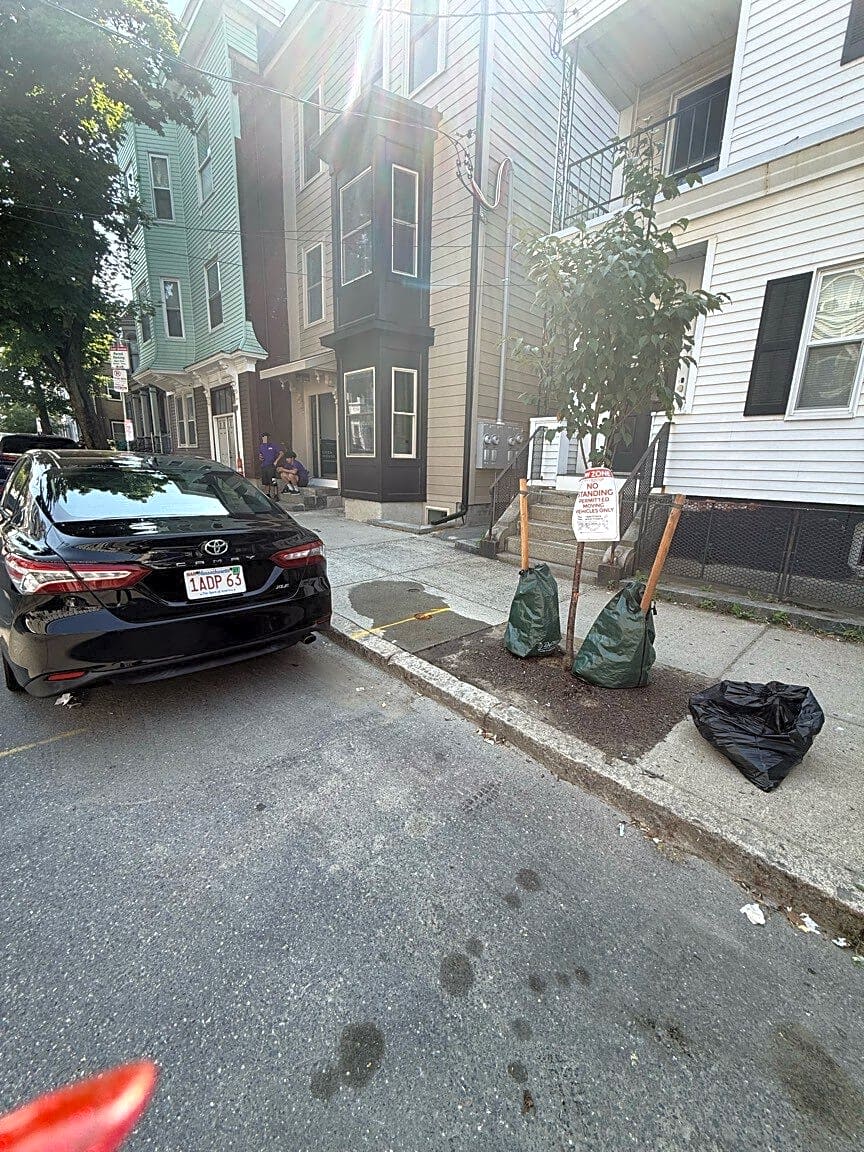 Image submitted with report
