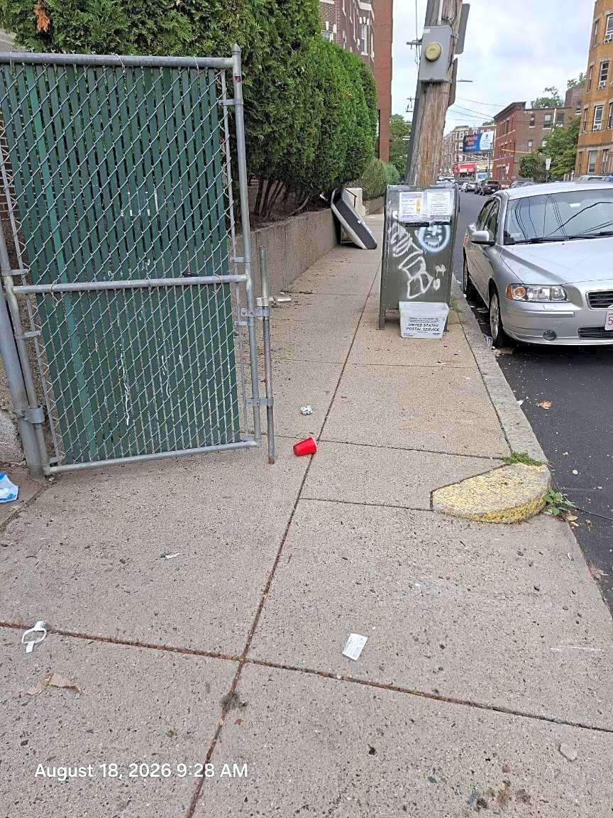 Image submitted with report
