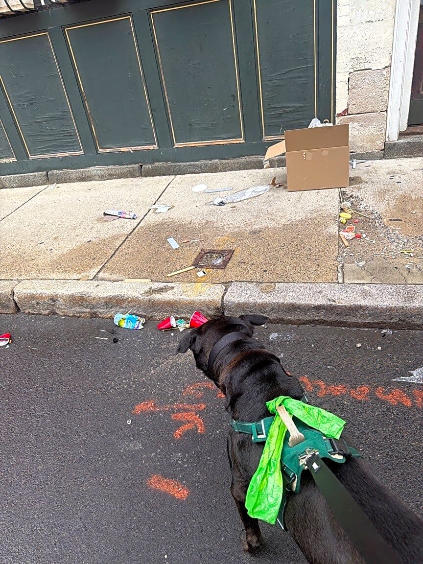 Image submitted with report