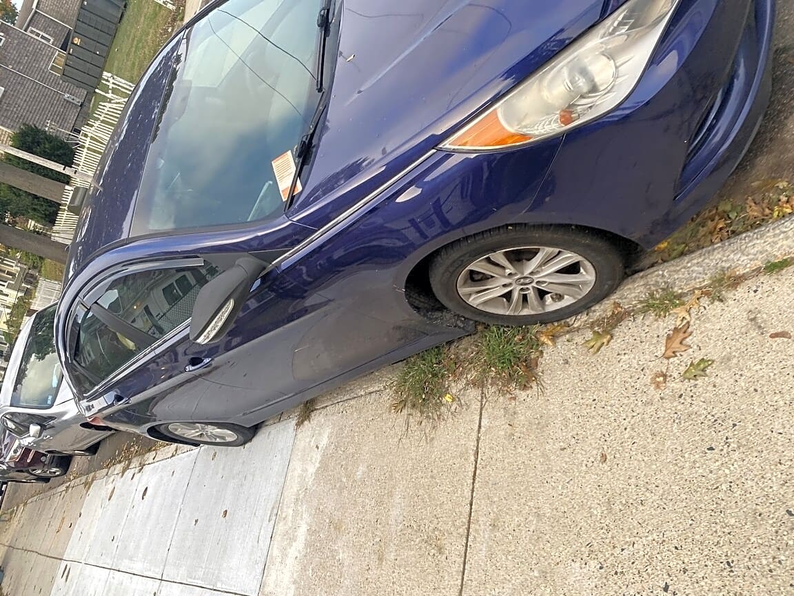 Image submitted with report