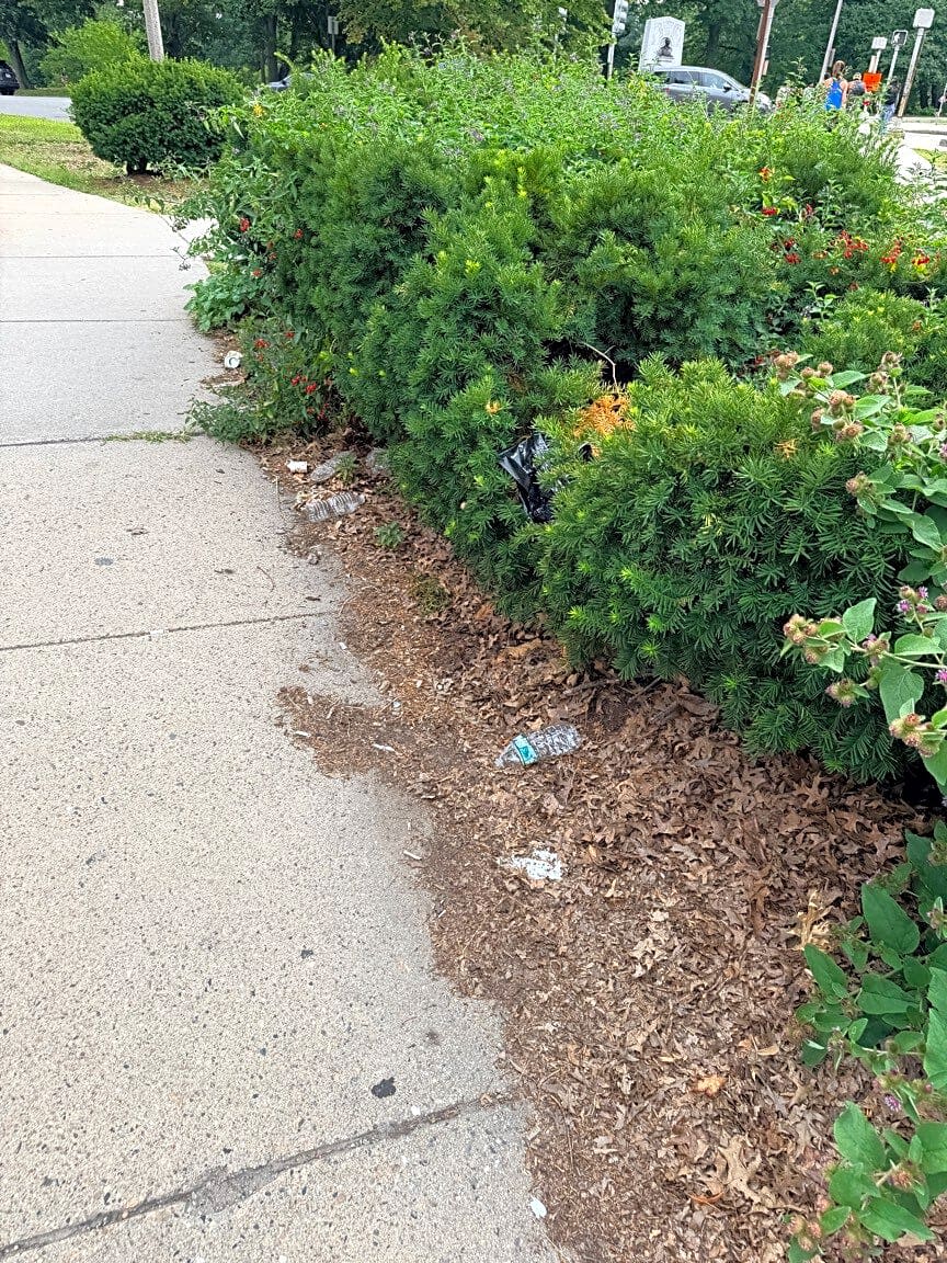 Image submitted with report
