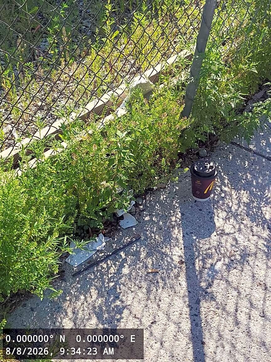 Image submitted with report