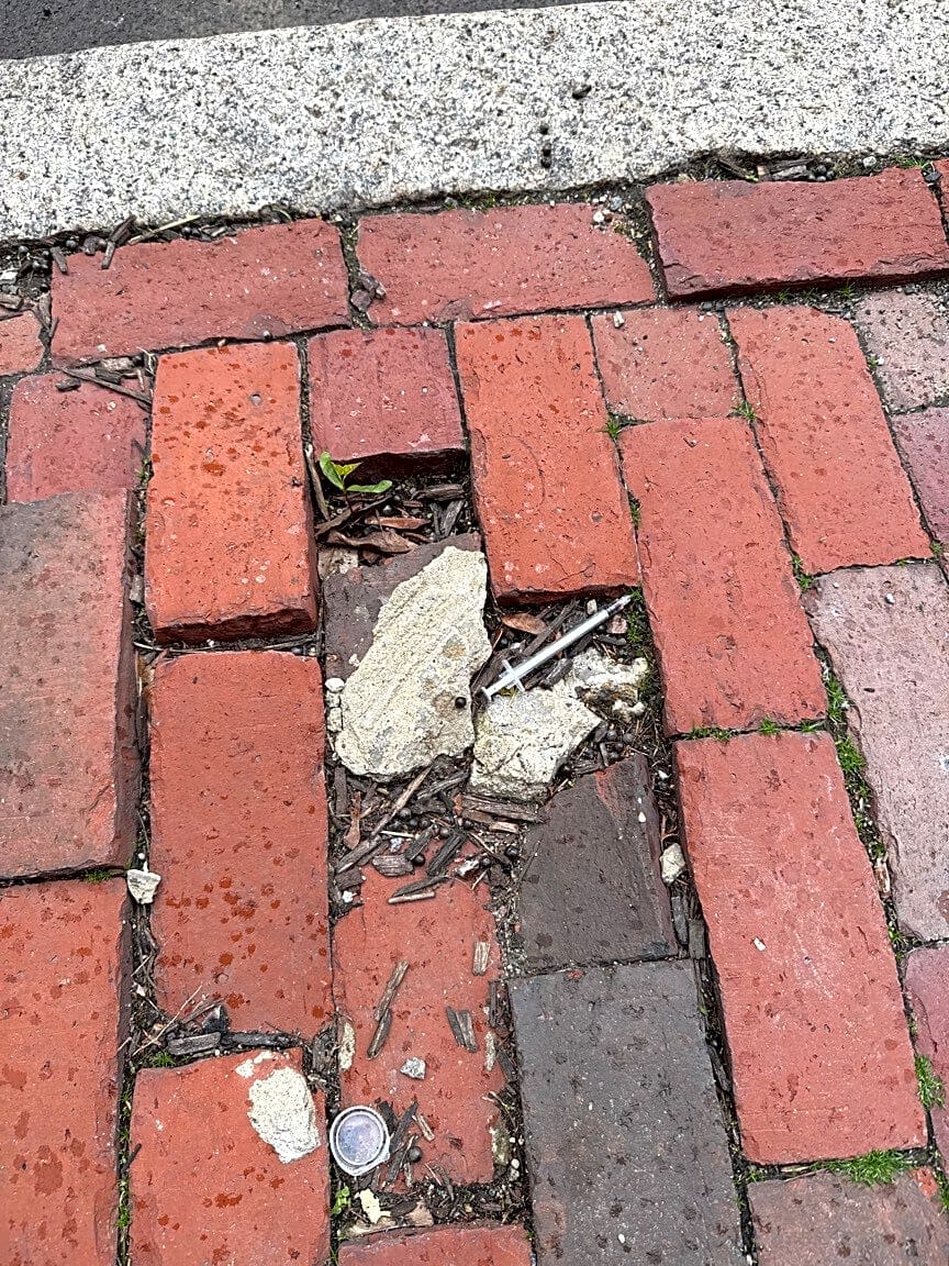 Image submitted with report