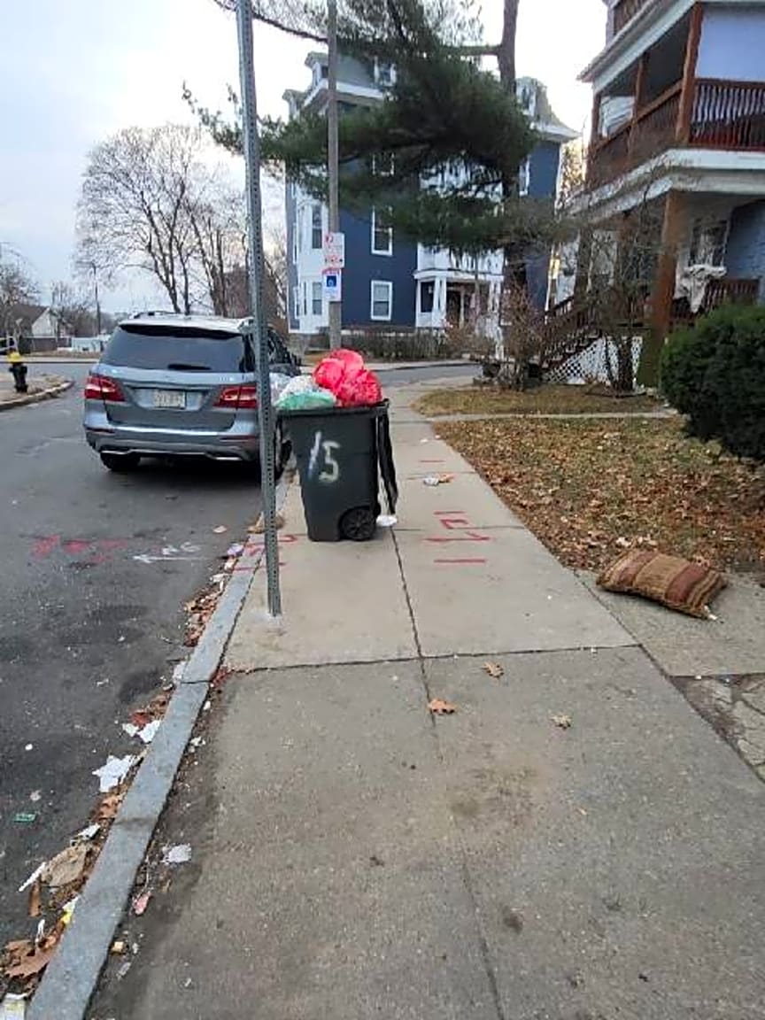 Image submitted with report