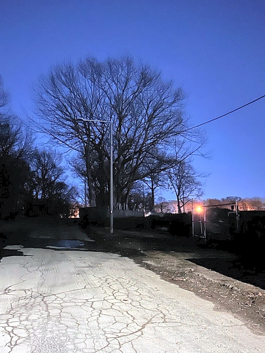 Image submitted with report