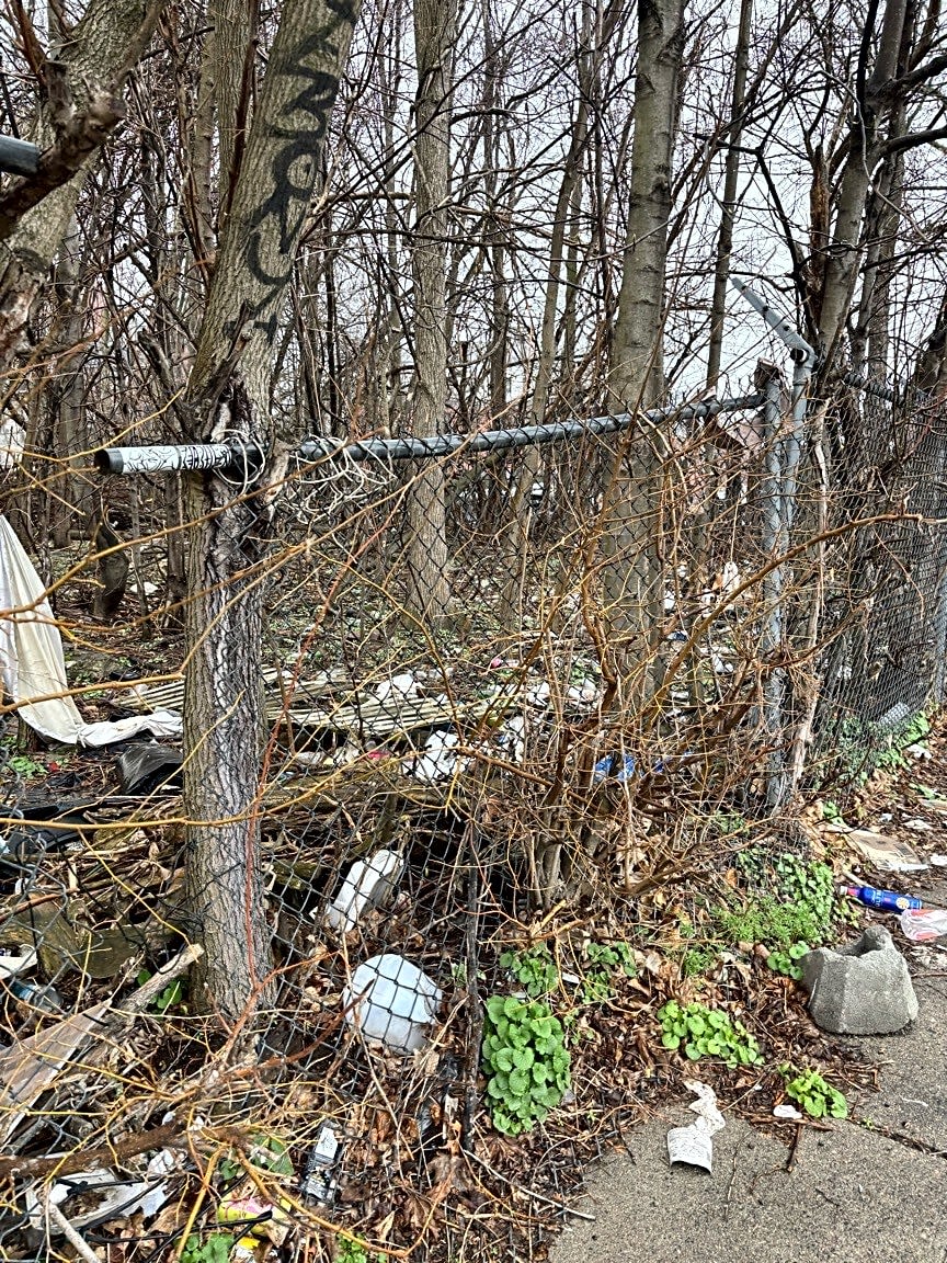 Image submitted with report