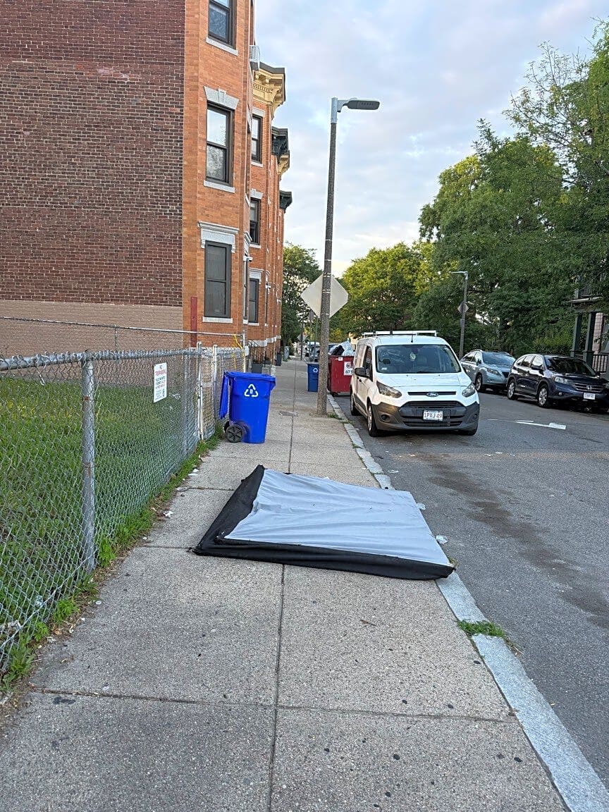 Image submitted with report