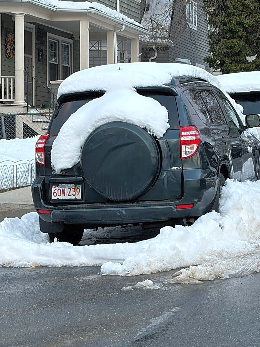 Image submitted with report