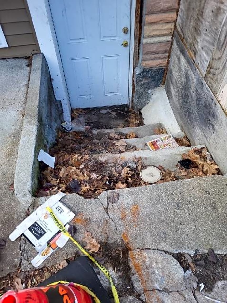 Image submitted with report