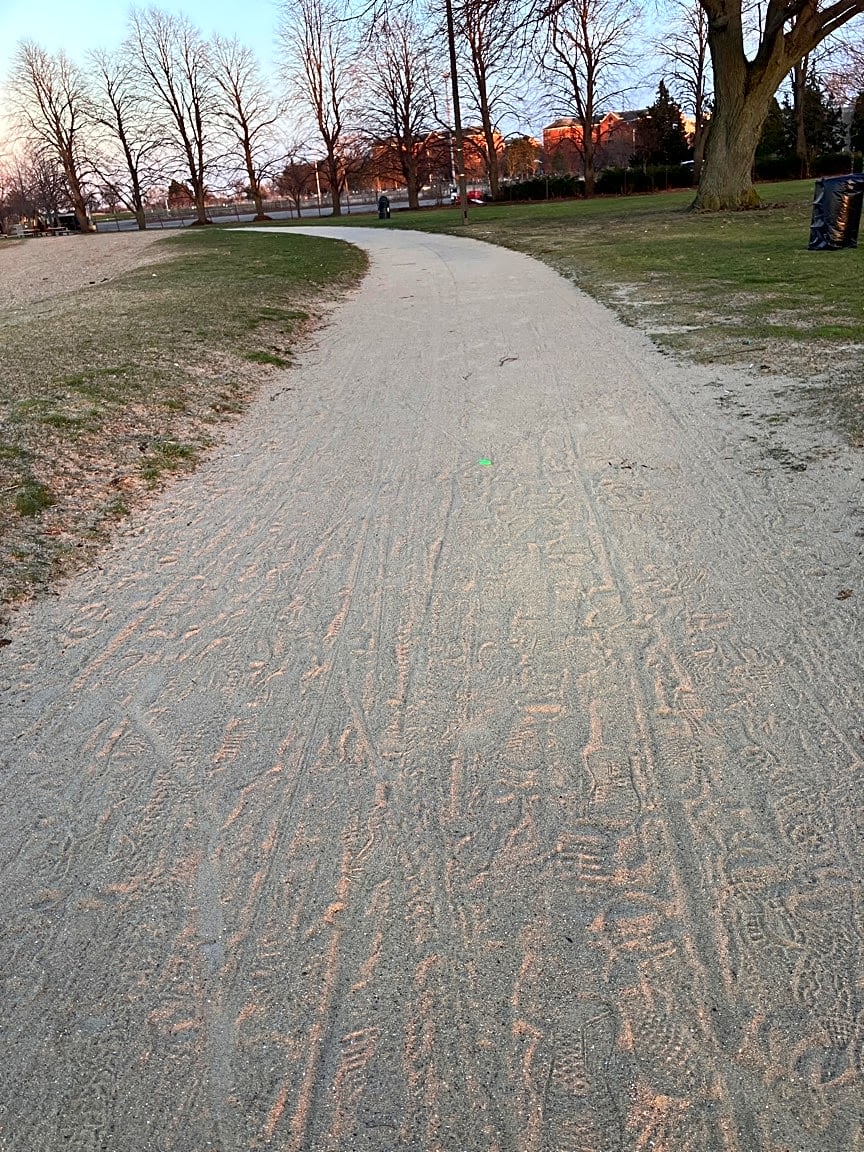 Image submitted with report