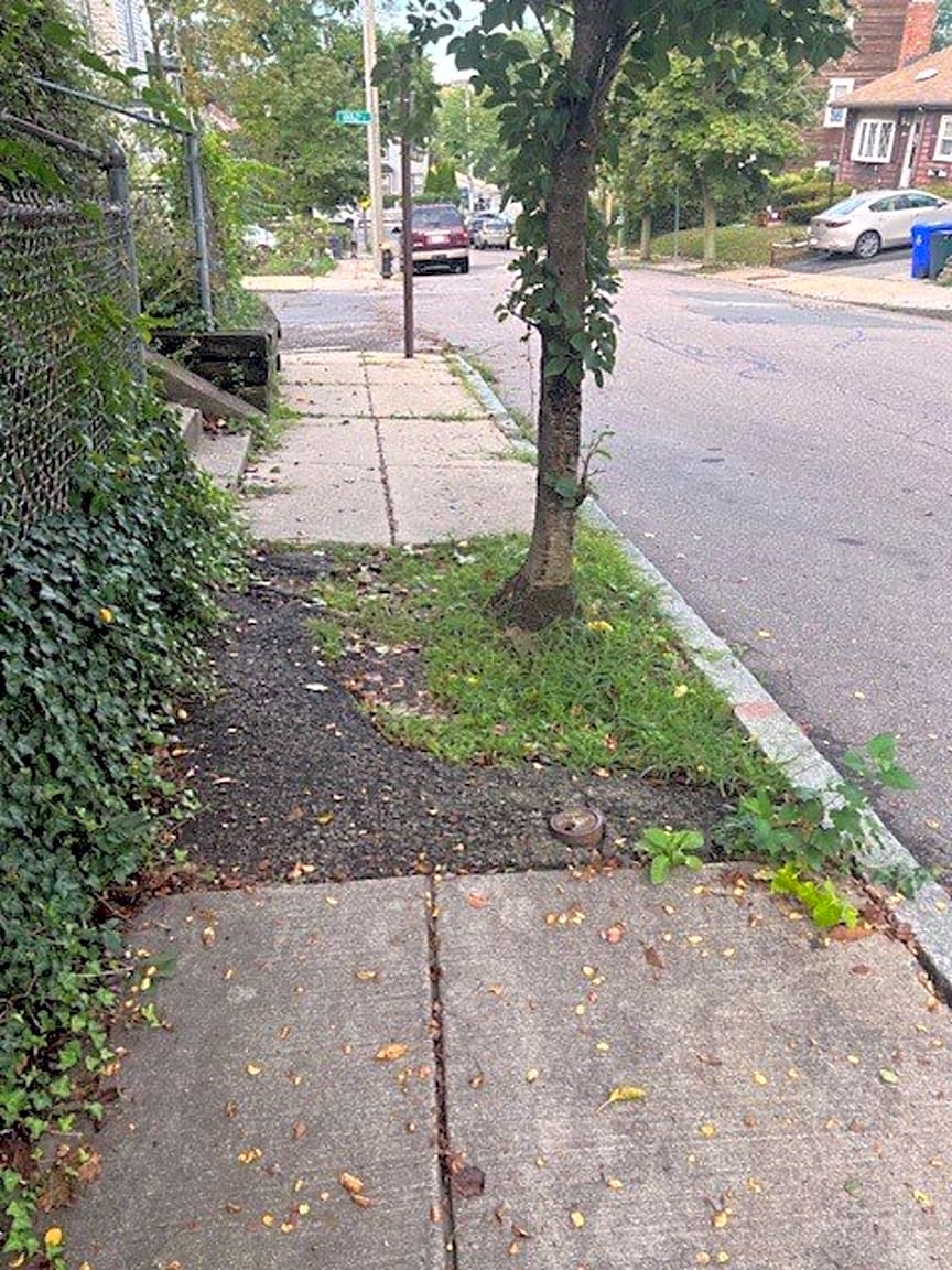 Image submitted with report