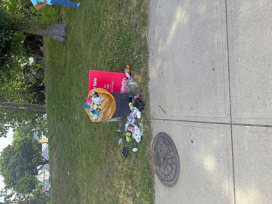 Image submitted with report