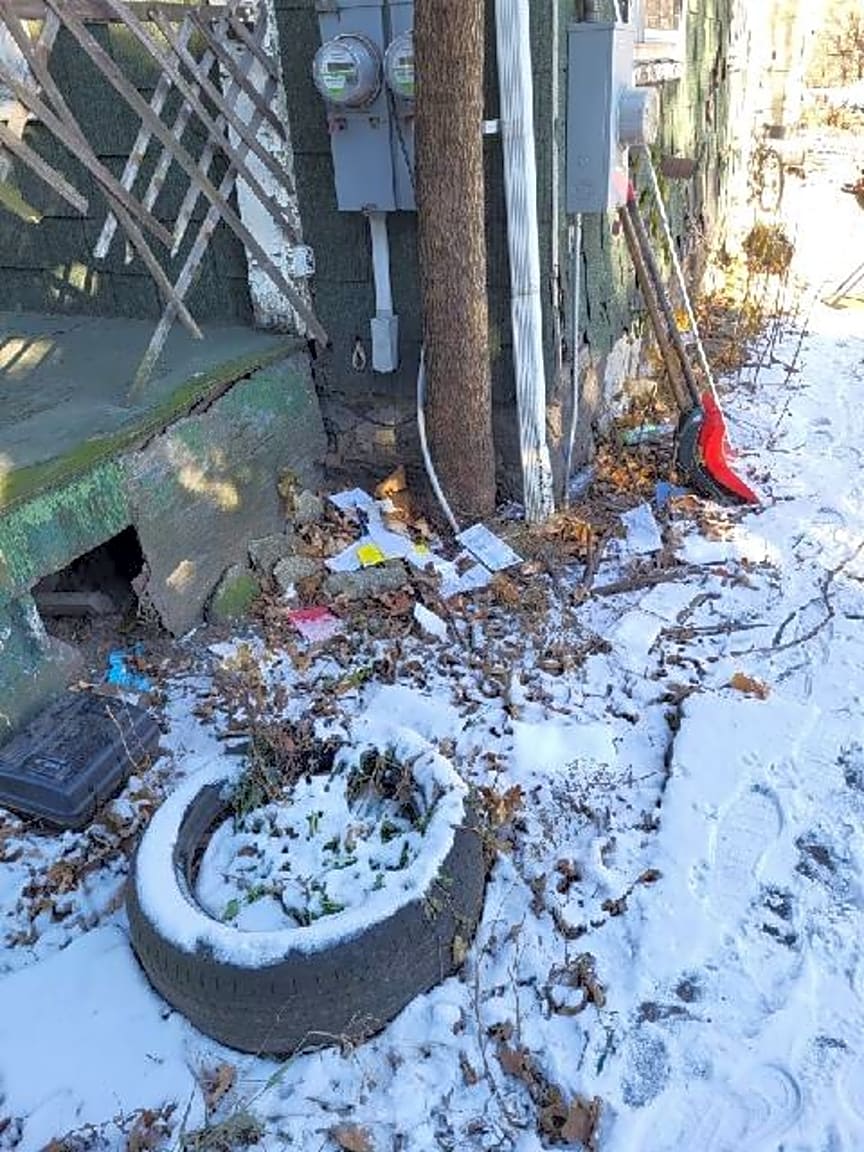 Image submitted with report