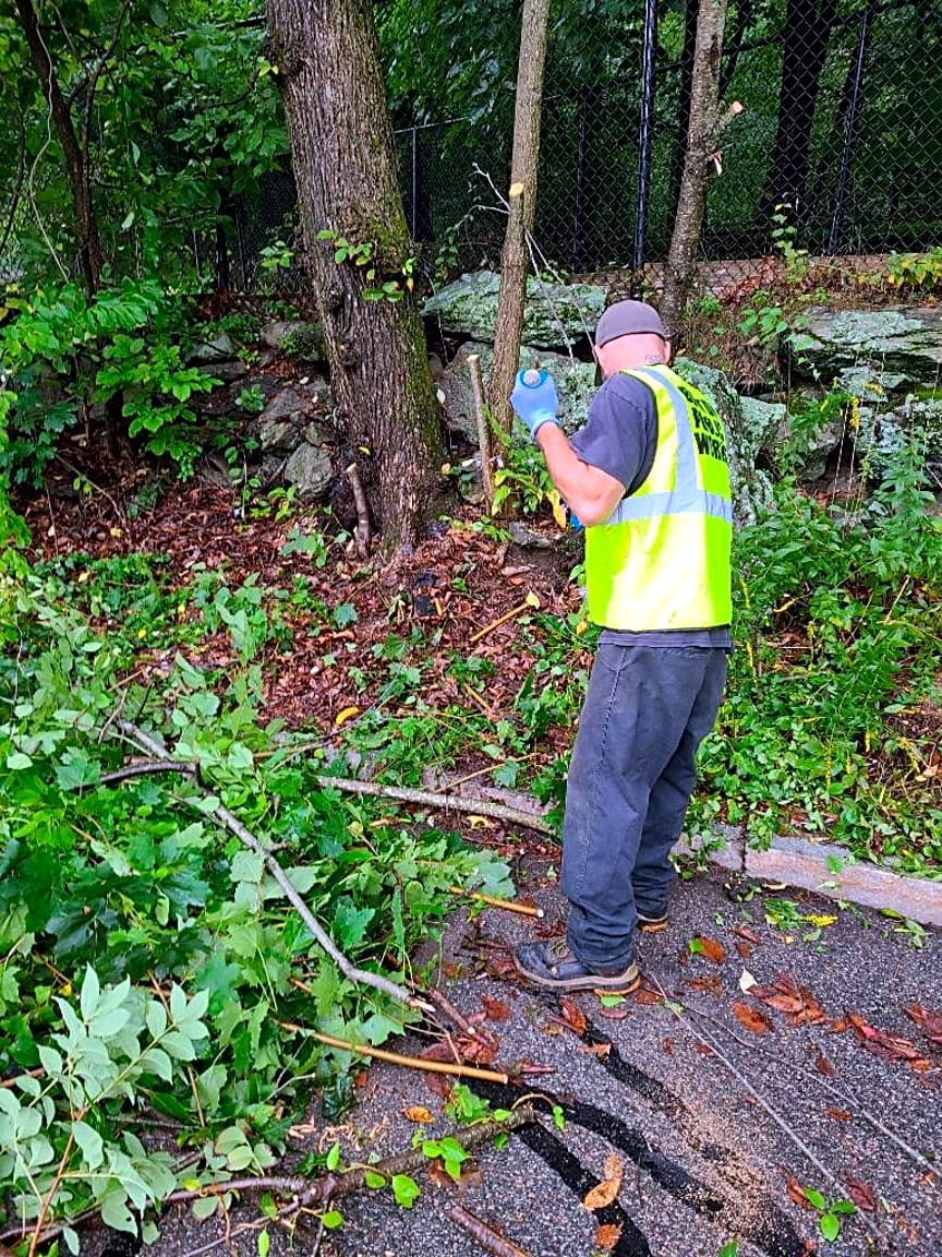 Image submitted with report