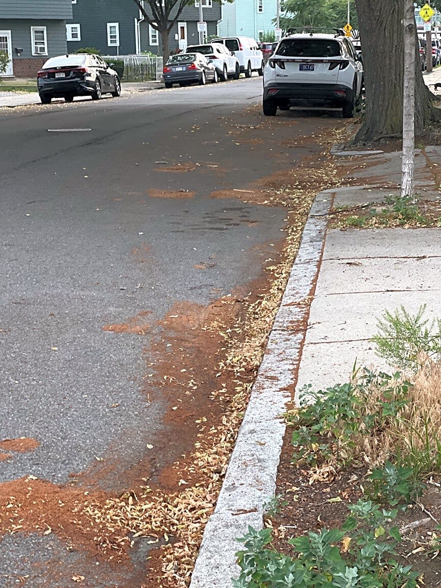 Image submitted with report
