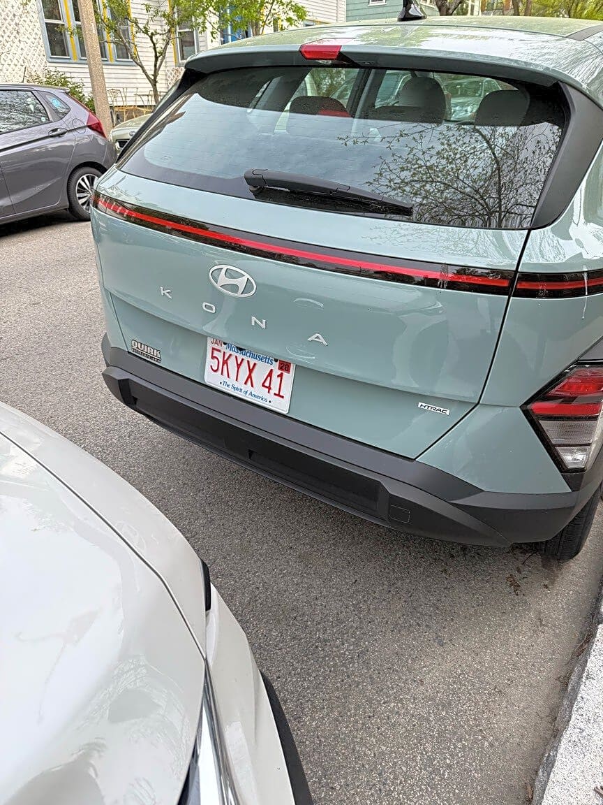 Image submitted with report