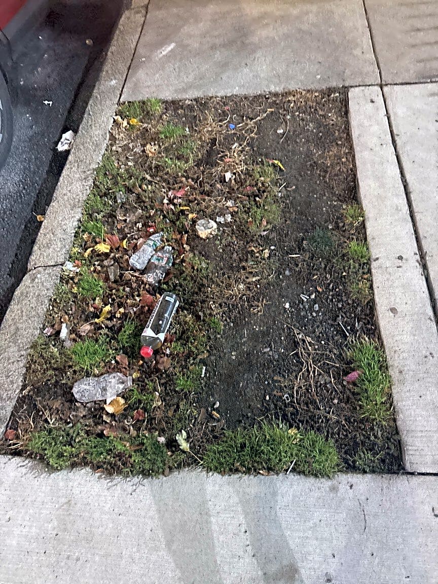 Image submitted with report