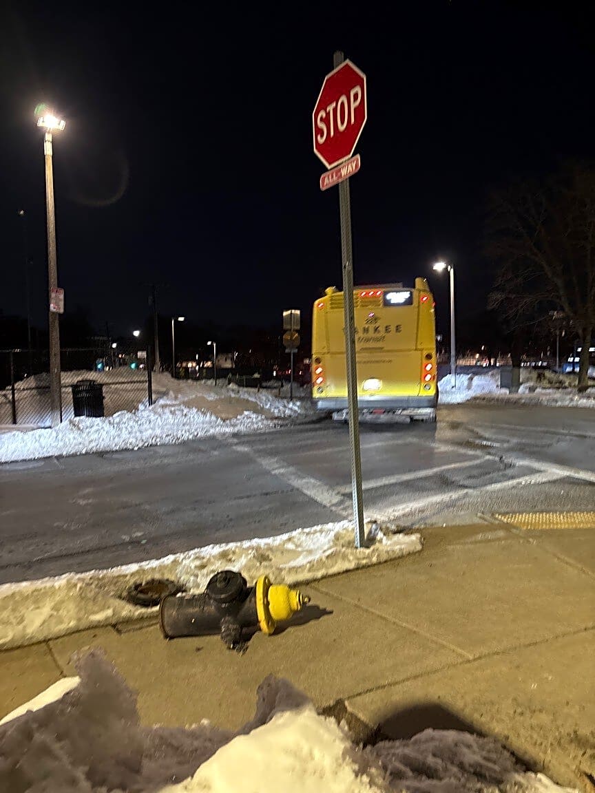 Image submitted with report