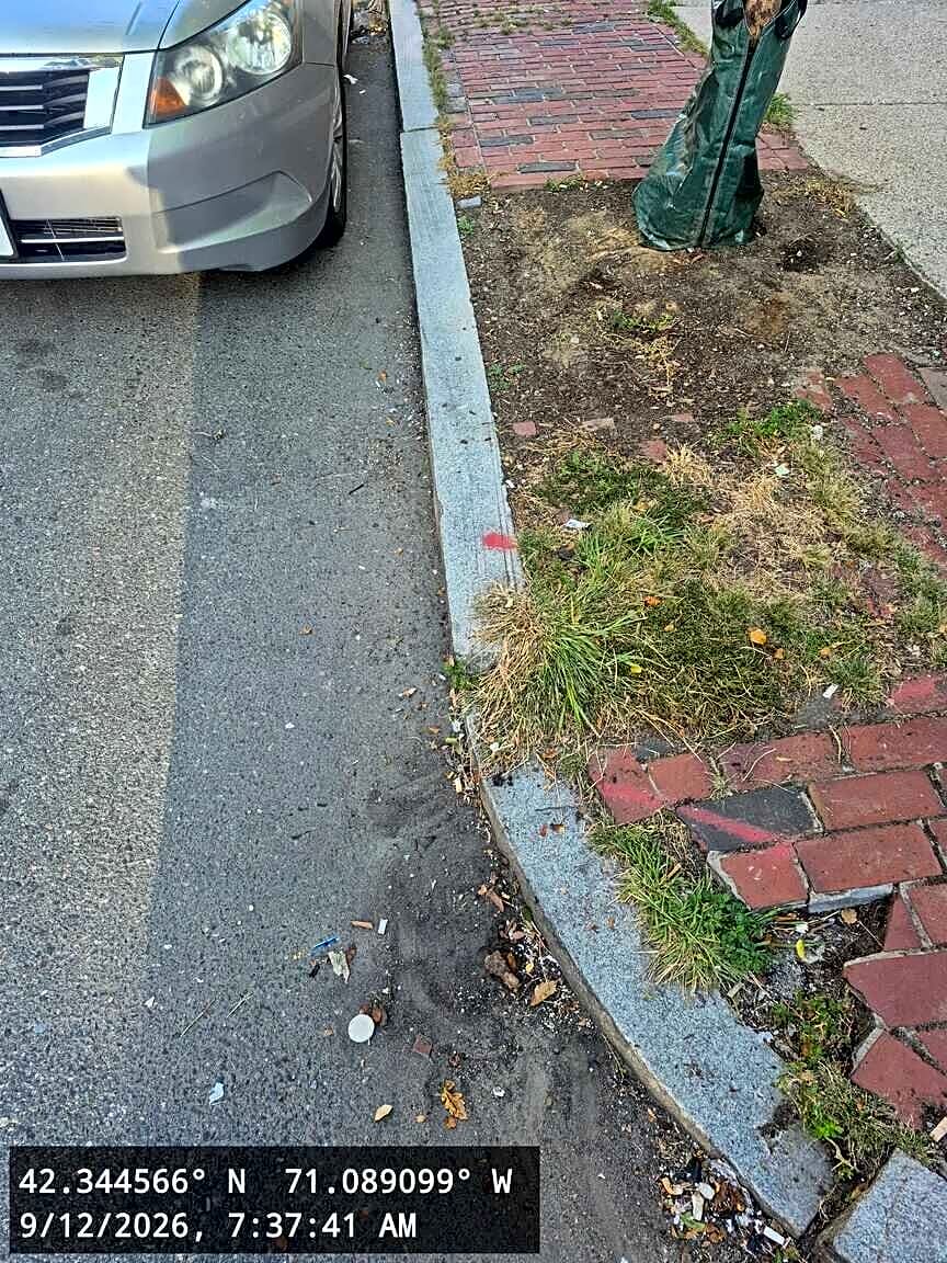 Image submitted with report