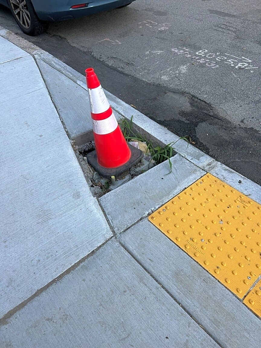 Image submitted with report