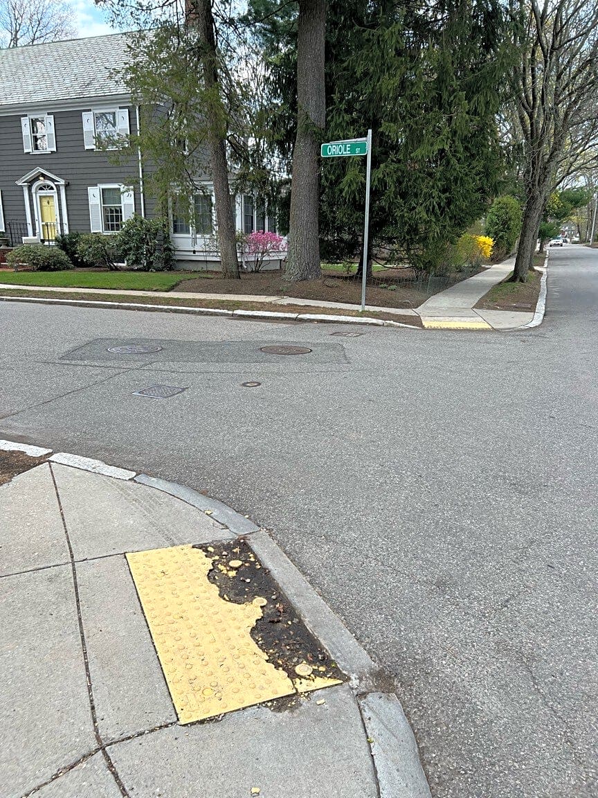 Image submitted with report