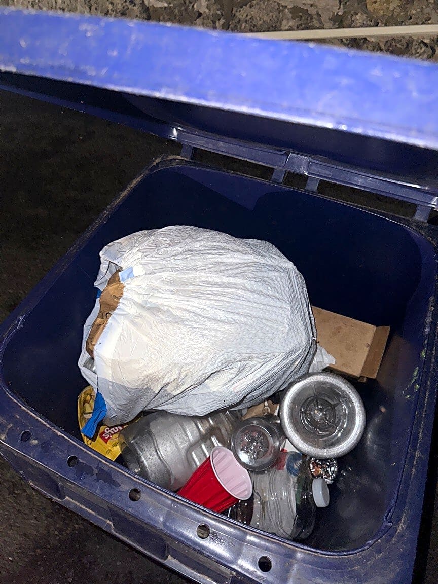 Image submitted with report