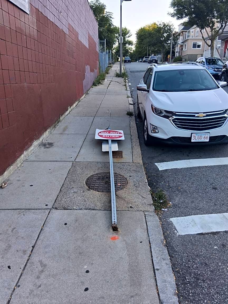 Image submitted with report
