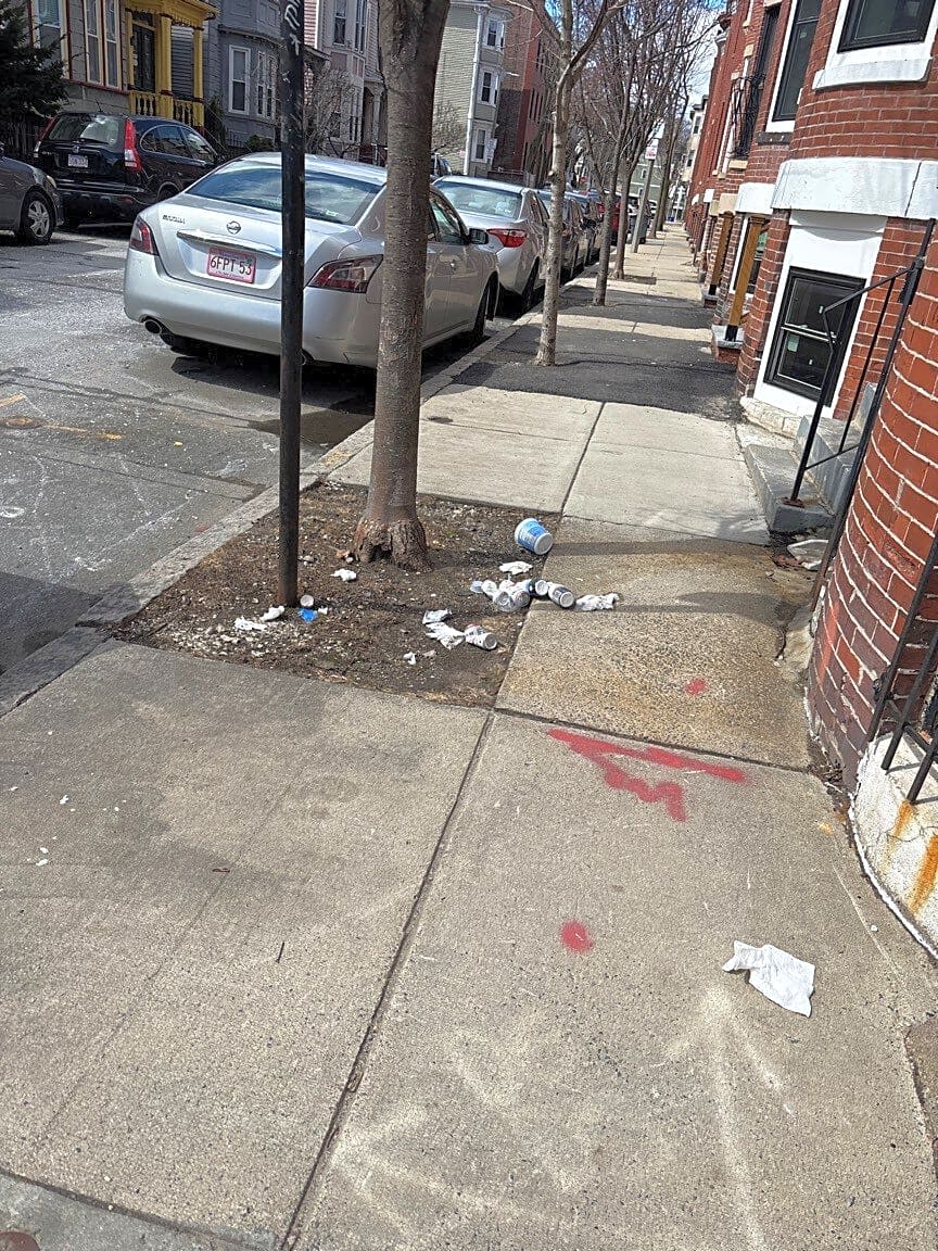 Image submitted with report