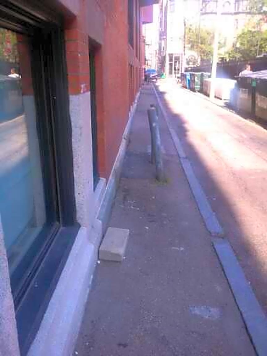 Image submitted with report