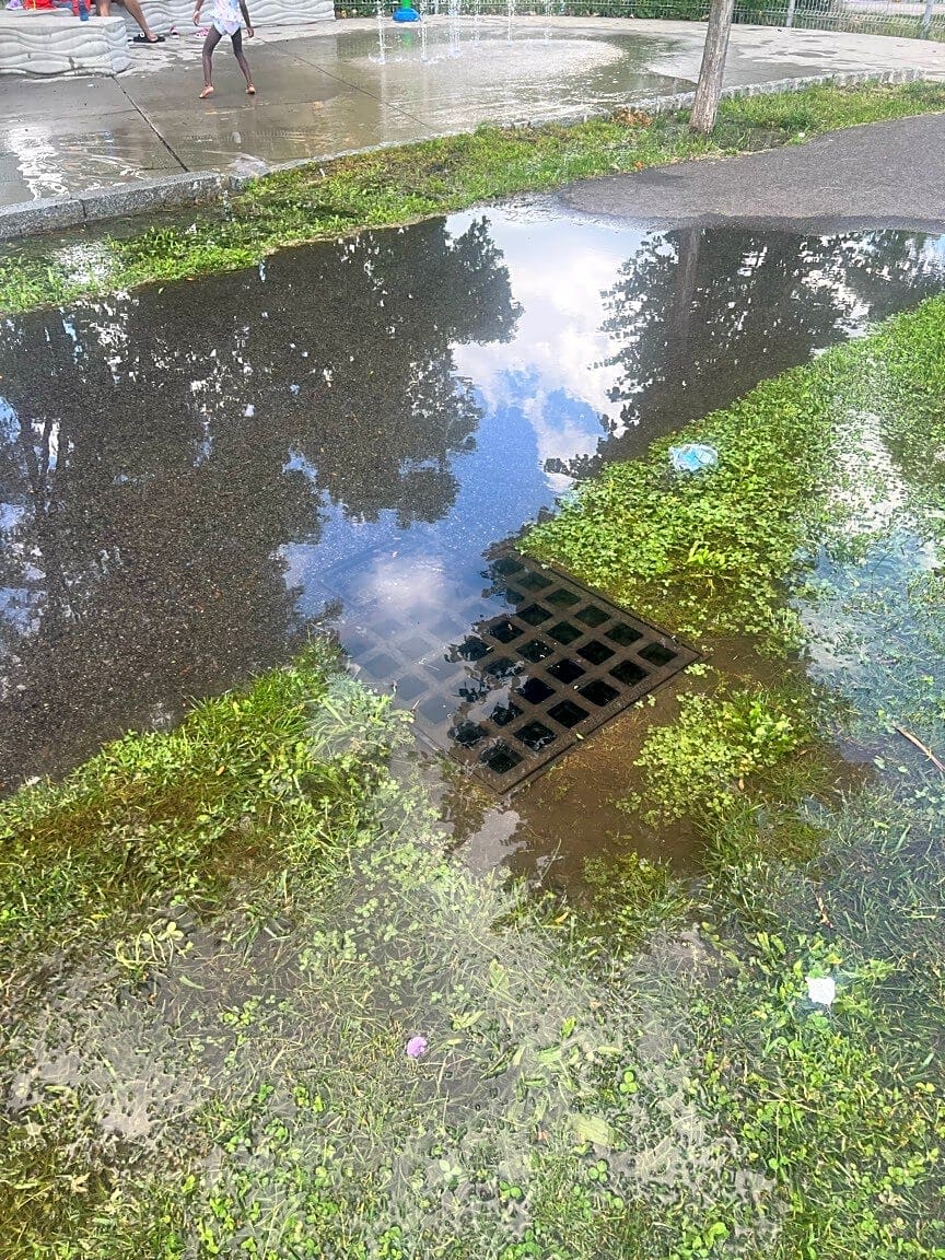 Image submitted with report