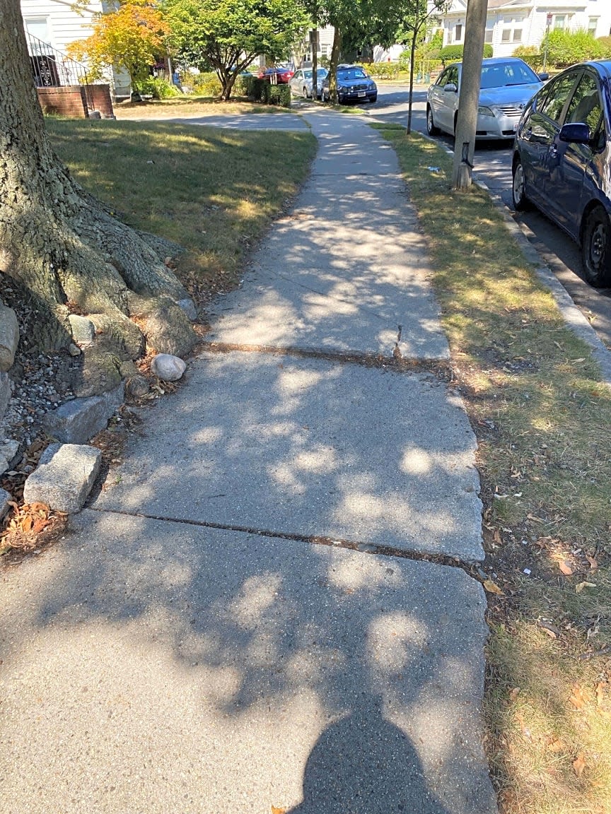 Image submitted with report