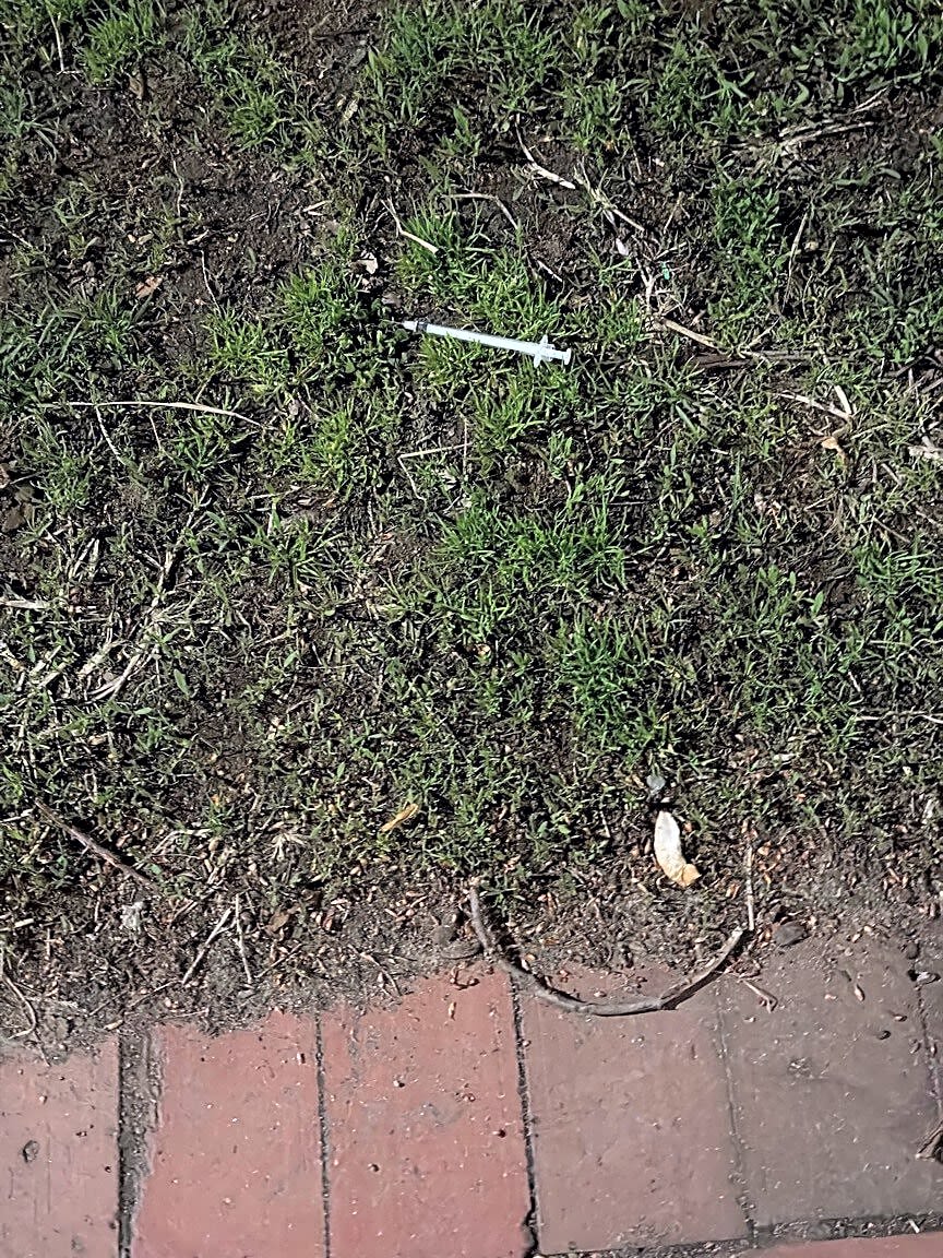 Image submitted with report