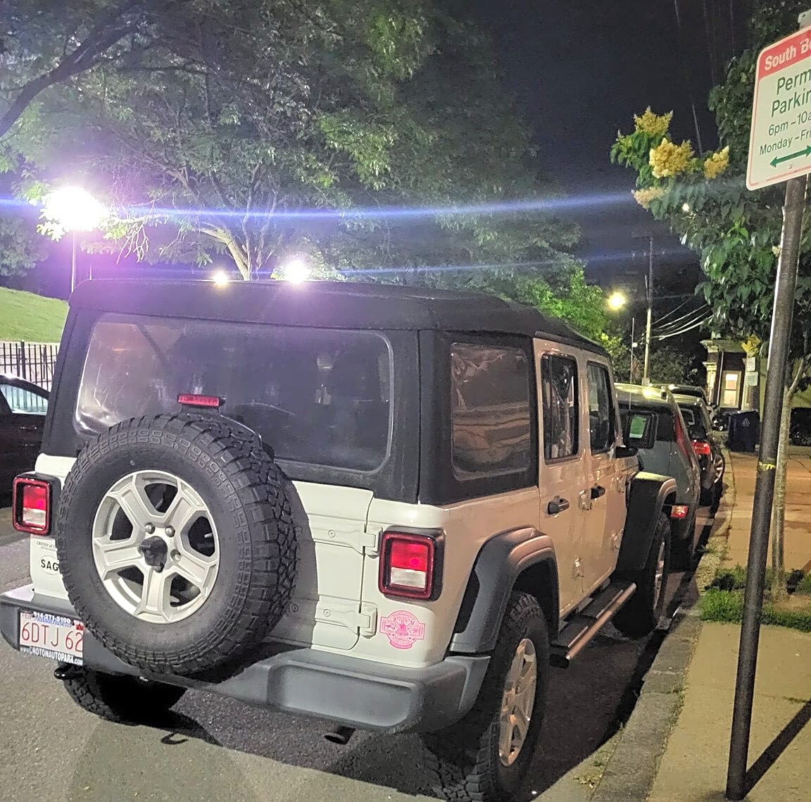 Image submitted with report
