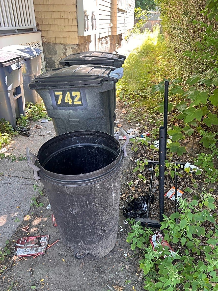 Image submitted with report