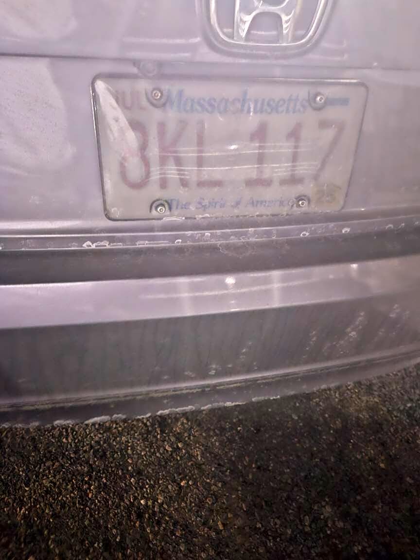 Image submitted with report