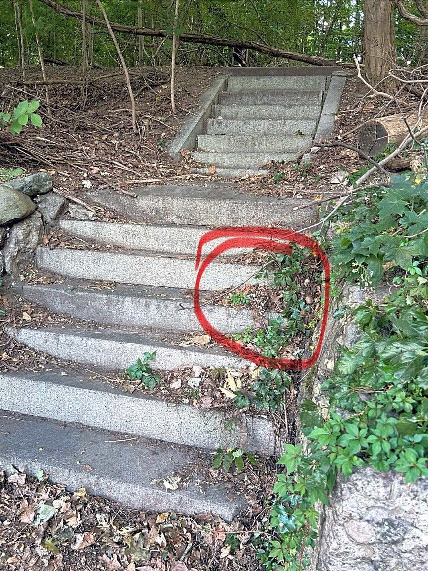 Image submitted with report