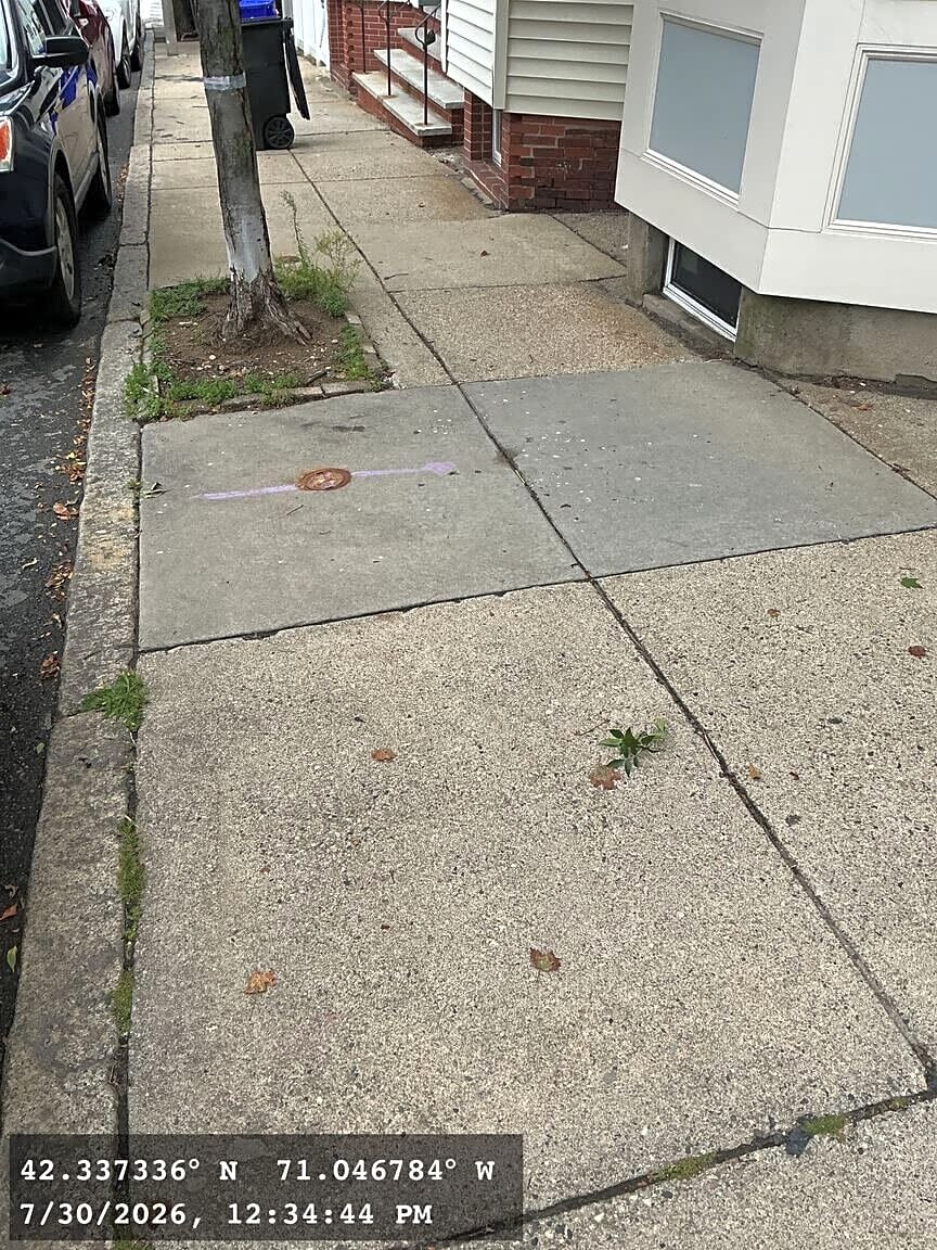 Image submitted with report