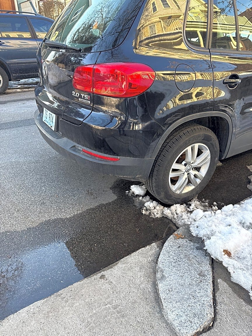 Image submitted with report