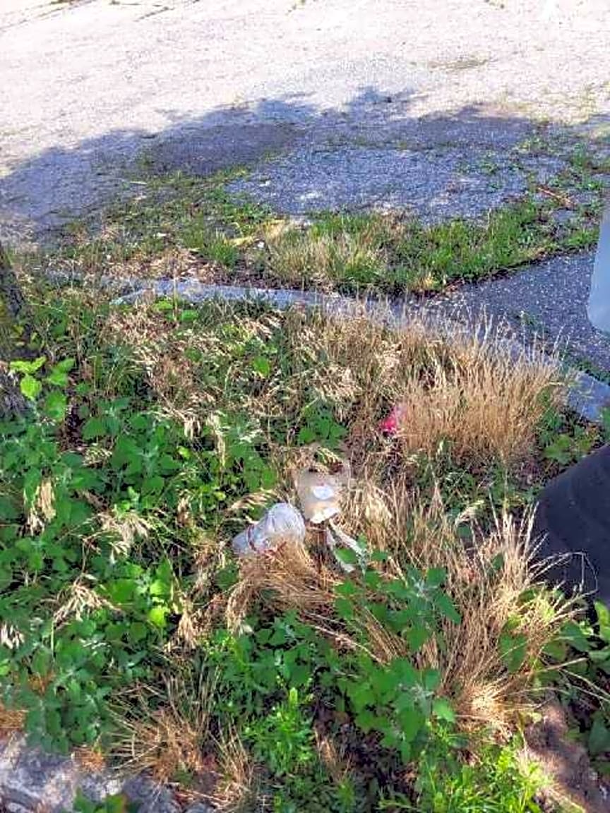 Image submitted with report