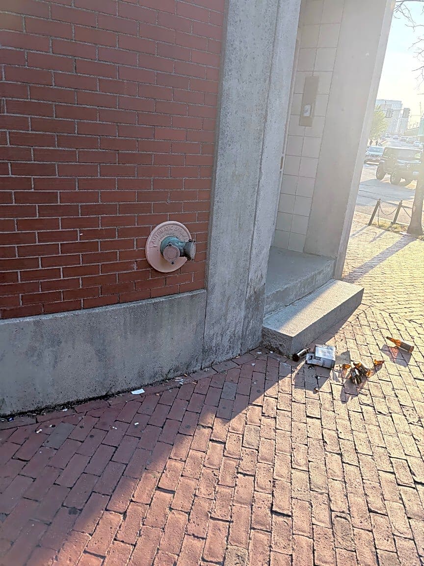 Image submitted with report
