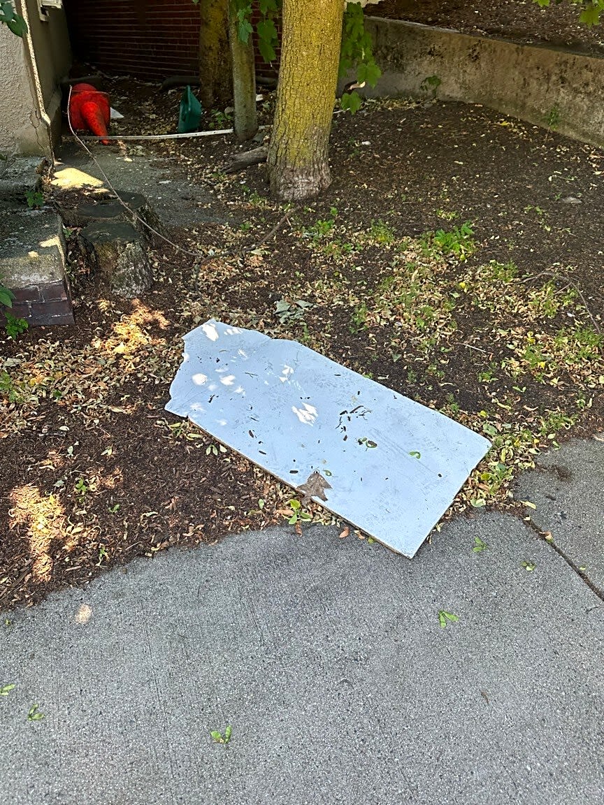 Image submitted with report