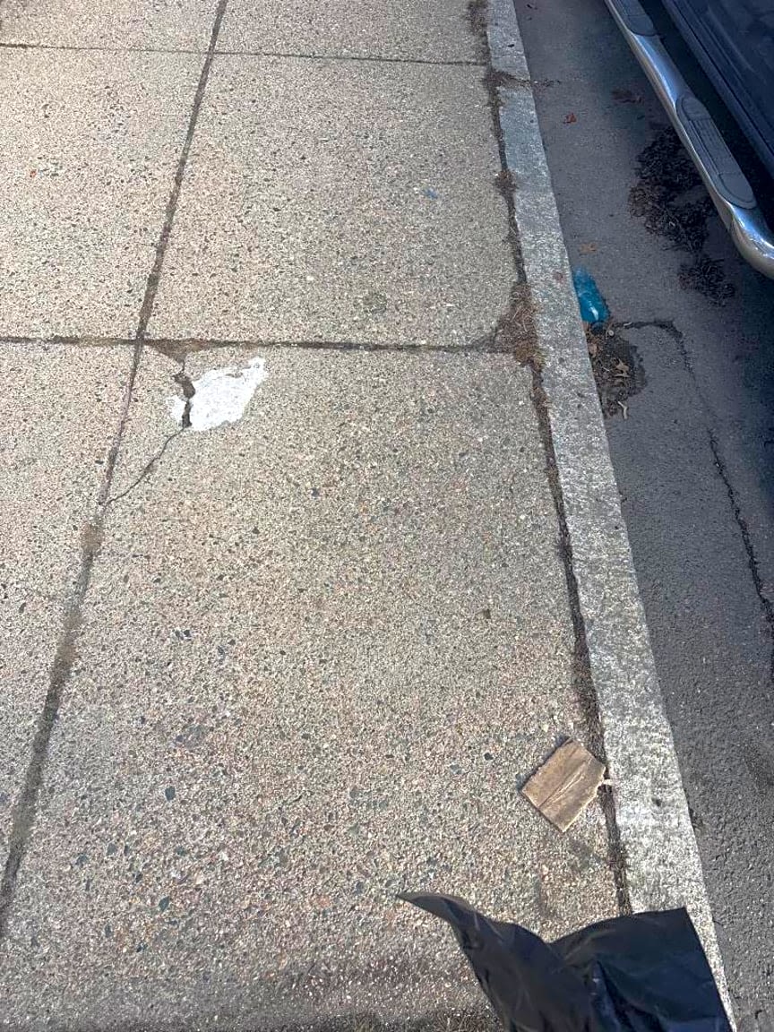 Image submitted with report