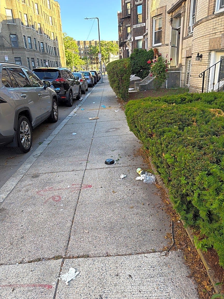 Image submitted with report