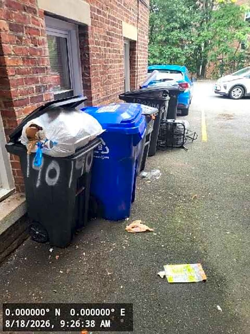 Image submitted with report