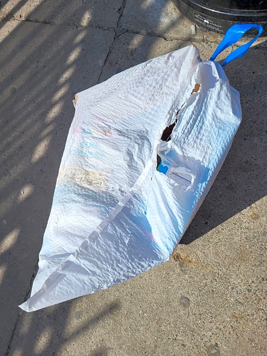 Image submitted with report