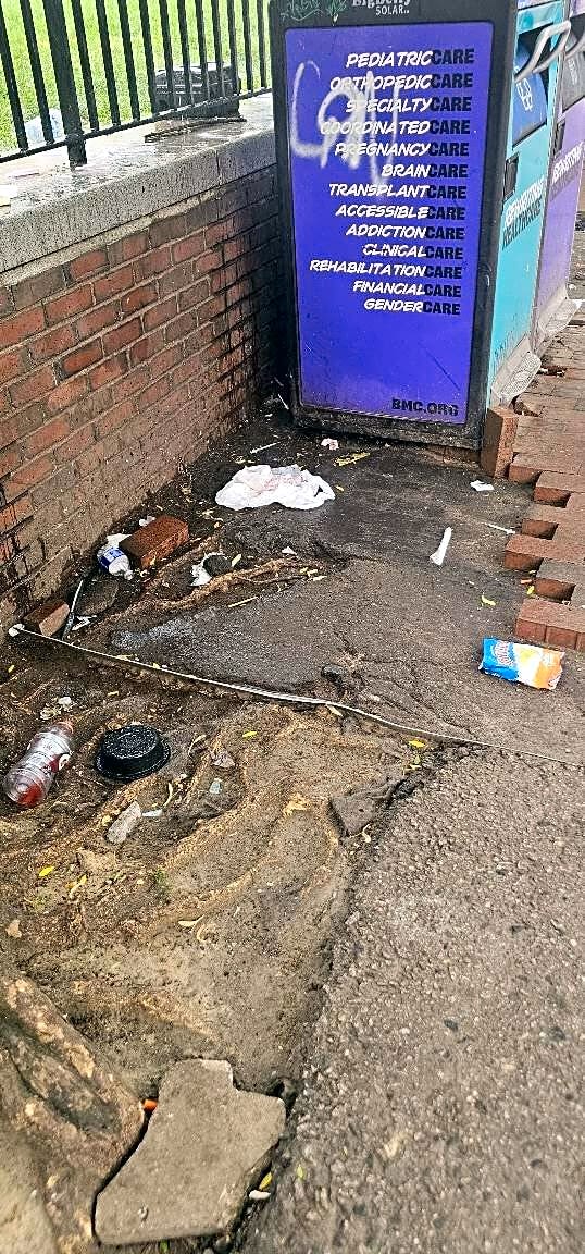 Image submitted with report