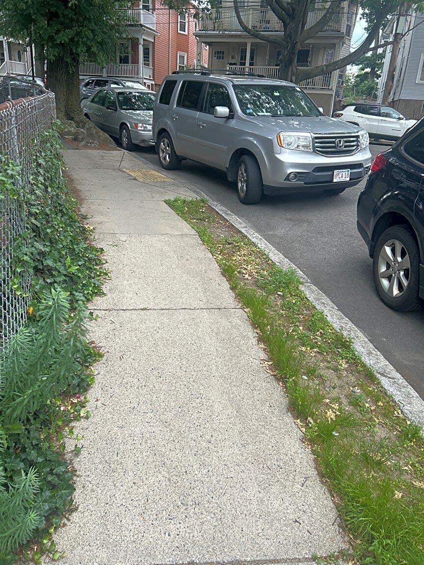 Image submitted with report