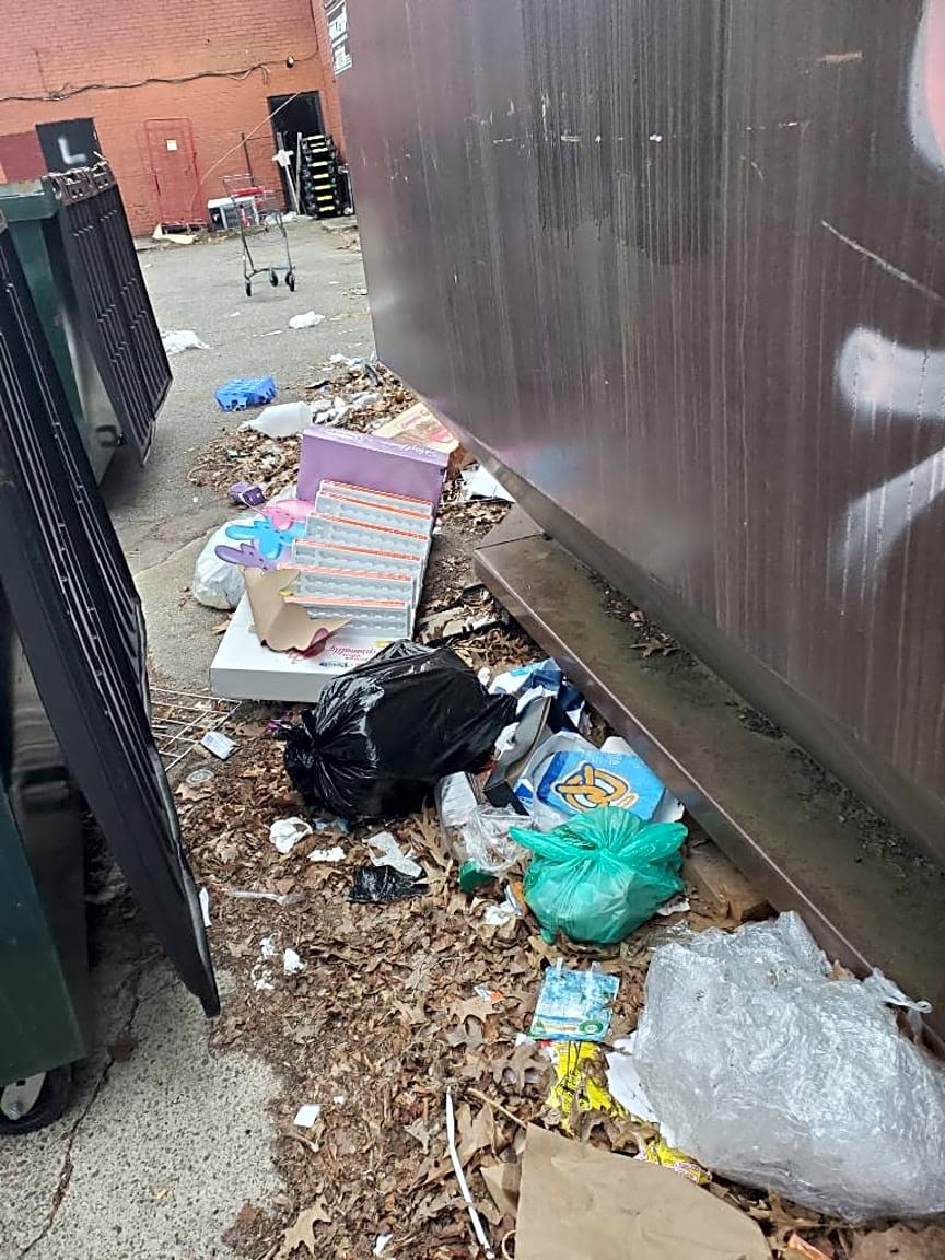 Image submitted with report