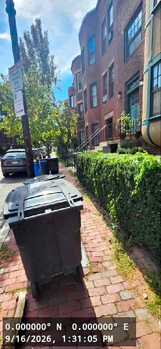 Image submitted with report